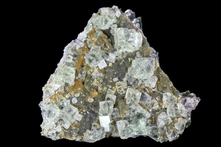 Green Fluorite Crystals with Purple Phantoms - Mongolia #100738